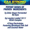 MHP EAA Strong (304 g, Zitrone Limette)
