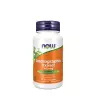 Now Foods Andrographis Extract 400 mg (90 veg.Kapseln)