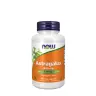 Now Foods Astragalus 500 mg (100 veg.Kapseln)