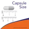 Now Foods Celadrin & MSM Gelenkstärker 500 mg Kapsel (120 Kapseln)