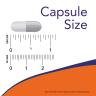 Now Foods MK-7 Plus with K1 & MK-4 (90 veg.Kapseln)