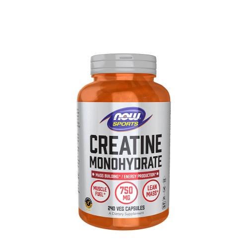 Now Foods Creatine Monohydrate 750 mg (240 veg.Kapseln)