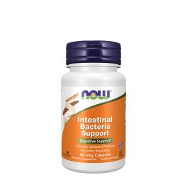 Now Foods Intestinal Bacteria Support (60 Kapseln)