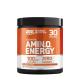 Optimum Nutrition Essential  AMIN.O. Energy™ (270 g, Orangefarbener Kühler)