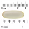 Swanson Caprylic Acid 600 MG (60 Weichkapseln)