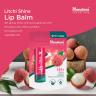 Himalaya Lip Balm (4,5 g, Litschi)