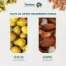 Himalaya Extra Nourishing Olive Skin Cream  (50 ml, Olive)