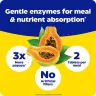 Enzymedica Papaya Complete (120 Tabletten, Papaya-Minze)