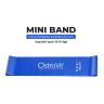OstroVit Training Bands 4 pcs + bag (1 St.)