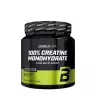 BioTechUSA 100% Micronized Creatine Monohydrate (300 g, Geschmacksneutral)