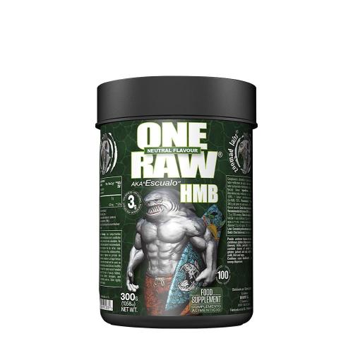 Zoomad Labs Raw One HMB (300 g, Geschmacksneutral)