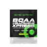 Scitec Nutrition BCAA + Glutamine Xpress (12 g, Wassermelone)