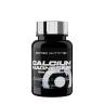 Scitec Nutrition Calcium-Magnesium (90 Tabletten)