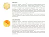 Extrifit Regel Gel (25 x 80 g, Lemon Orange)