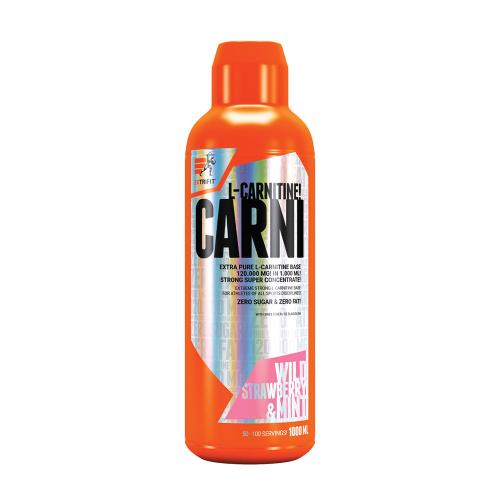 Extrifit Carni Liquid 120,000 mg (1000 ml, Erdbeer-Minze)