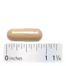 Nature's Way Astragalus Root (100 Kapseln)