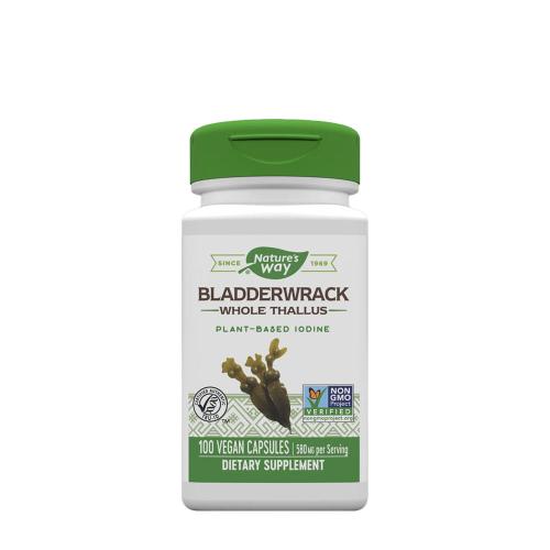 Natures Way Bladderwrack  (100 Kapseln)