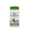 Nature's Way Bladderwrack  (100 Kapseln)