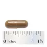 Nature's Way Blood Sugar Manager (90 Kapseln)