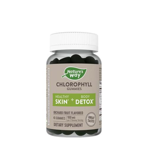 Natures Way Chlorophyll Gummies (60 Gummibonbons, Frucht)