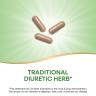 Nature's Way Dandelion Root (100 Kapseln)