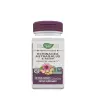 Nature's Way Echinacea Astragalus & Reishi (100 Kapseln)