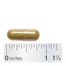 Nature's Way Echinacea Goldenseal Premium Blend (100 Kapseln)