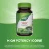 Nature's Way Kelp  (100 Kapseln)