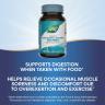 Nature's Way Mega-Zyme® (100 Tabletten)