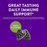Nature's Way Sambucus Gummies (60 Gummibonbons)