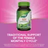 Nature's Way Vitex Fruit (100 Kapseln)