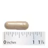 Nature's Way Wild Yam Root (180 Kapseln)