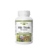 Natural Factors Milk Thistle Phytosome 150 mg (90 Kapseln)