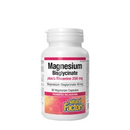   Natural Factors Magnesium Bisglycinate 100 plus L-Theanine 250 mg (90 Kapseln)