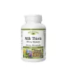 Natural Factors Milk Thistle 250 mg/150 mg Silymarin (90 Kapseln)