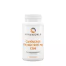 Vitaworld Cordyceps extract 500 mg CS4 (100 Kapseln)