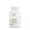 Vitaworld Quercetin 500 mg (120 Kapseln)
