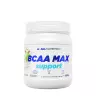 ALLNUTRITION BCAA Max Support (500 g, Apfel)