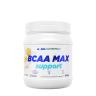 ALLNUTRITION BCAA Max Support (500 g, Orange)
