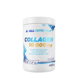 ALLNUTRITION Collagen 10 000 mg (480 g, Erdbeere)
