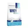 ALLNUTRITION Whey Delicious  (700 g, Kaffee Karamell)