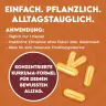 INLEAD Nutrition Turmeric Extract (120 veg.Kapseln)