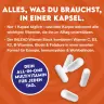 INLEAD Nutrition Vitamin Stack (120 veg.Kapseln)