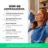 Vitamin360 KSM-66 Ashwagandha® 200 mg – Premium-Nahrungsergänzungsmittel mit Ashwagandha (120 veg.Kapseln)