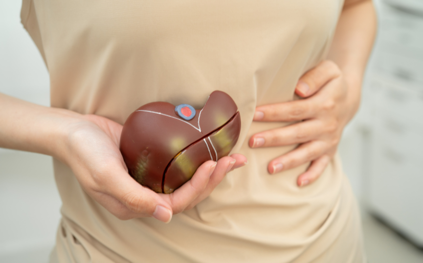 Allgemeiner Leitfaden im Dschungel der leberschützenden Produkte